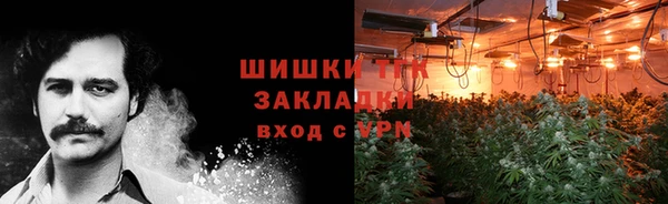 ALPHA PVP Гусев