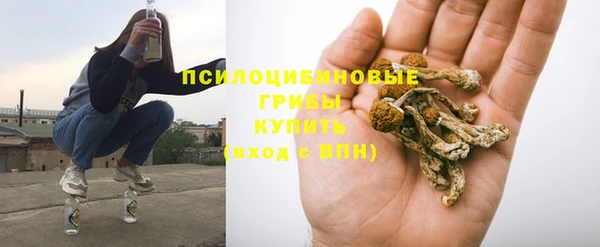 ALPHA PVP Гусев