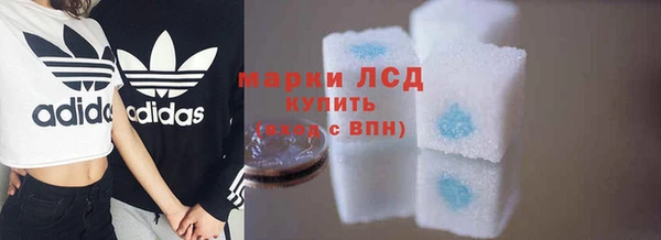 ALPHA PVP Гусев