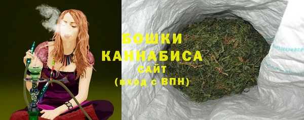 ALPHA PVP Гусев