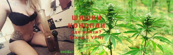 ALPHA PVP Гусев