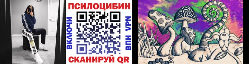 Псилоцибиновые грибы Psilocybe  ОМГ ОМГ tor  Карталы 